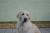 assets/Uploads/_resampled/SetWidth50-moje-holky-120600x400.jpg
