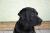 assets/Uploads/_resampled/SetWidth50-moje-holky-137600x400.jpg