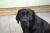assets/Uploads/_resampled/SetWidth50-moje-holky-144600x3.jpg