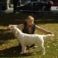 #366